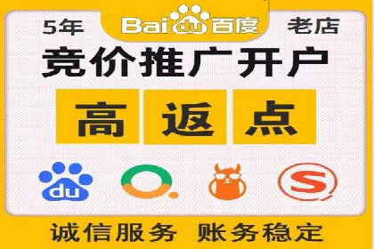 SEM竞价开户流程详解：成功案例解析